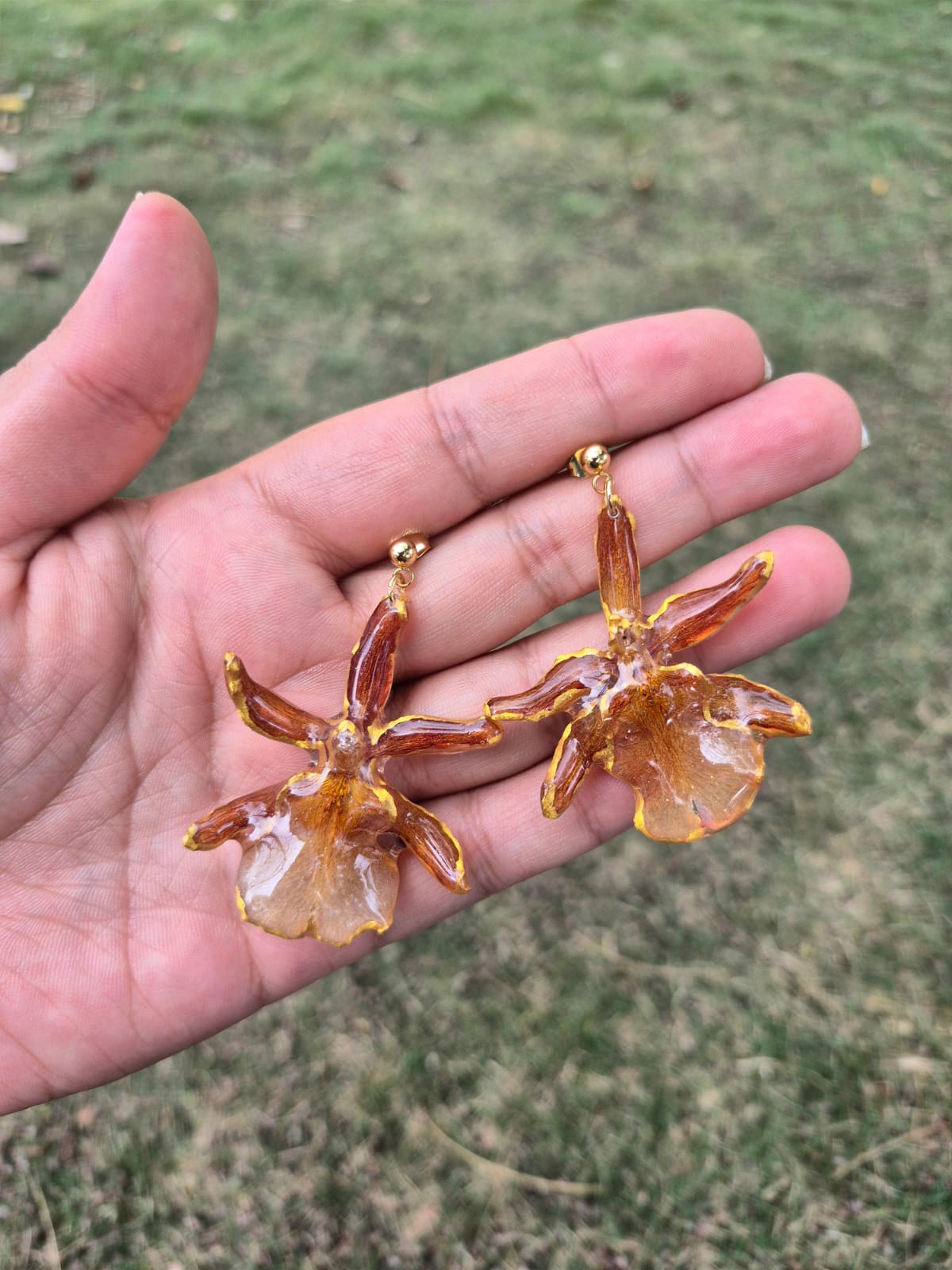 orquidea oncidium 